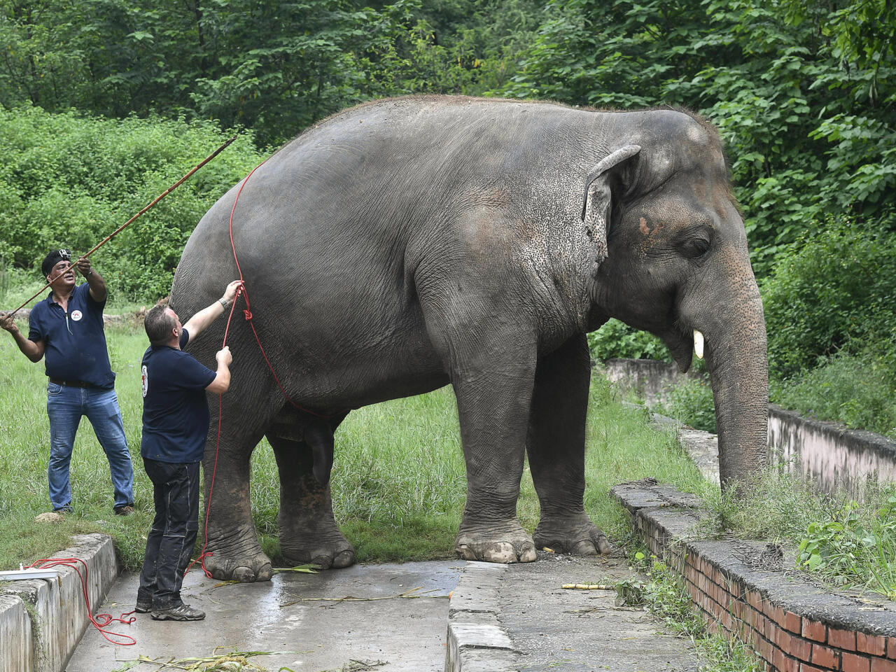 Ethical encounters await with Cambodia Tours